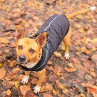 Moi la belle lucy #1