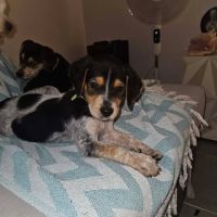 Asko, le plus mignon #3