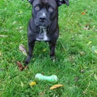 Paty, le rayon de douceur #1