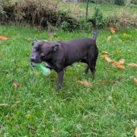 Paty, le rayon de douceur