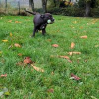 Paty, le rayon de douceur #3