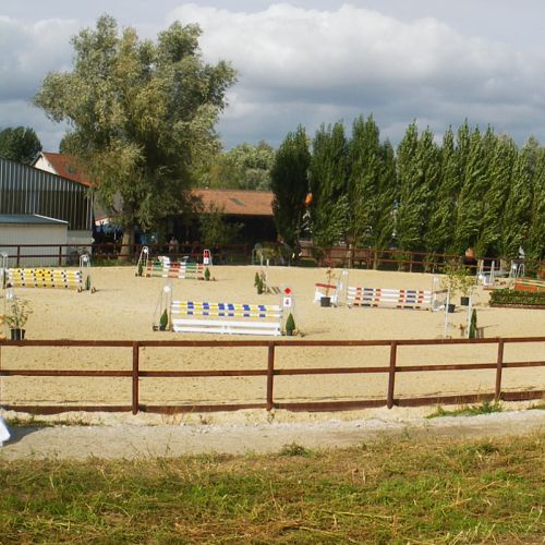 Pension pour chevaux et poneys - pas-de-calais #1