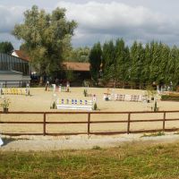Pension pour chevaux et poneys - pas-de-calais #1