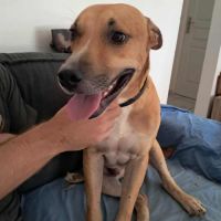 Aïko doux et beau #0