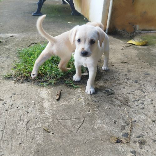 Jade la petite charmeuse