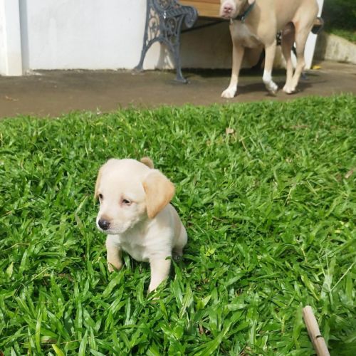 Jade la petite charmeuse #3