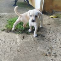 Jade la petite charmeuse #0