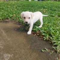 Jade la petite charmeuse #2