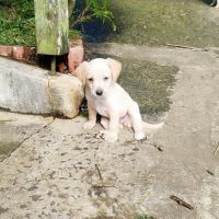 Eva un amour sur pattes #3