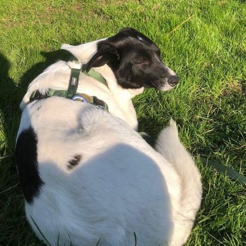 Hanna se trouve en famille d'accueil paris 18 #1