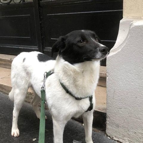 Hanna se trouve en famille d'accueil paris 18 #3