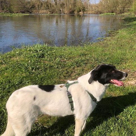 Hanna se trouve en famille d'accueil paris 18 #4