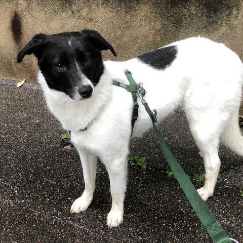 Hanna se trouve en famille d'accueil paris 18 #6