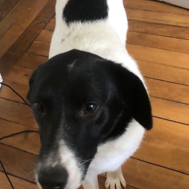 Hanna se trouve en famille d'accueil paris 18 #7