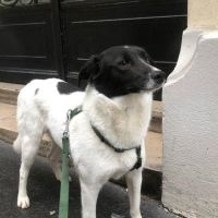 Hanna se trouve en famille d'accueil paris 18 #3