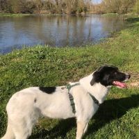 Hanna se trouve en famille d'accueil paris 18 #4