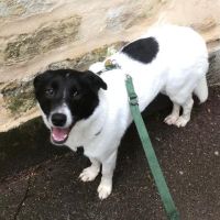 Hanna se trouve en famille d'accueil paris 18 #5