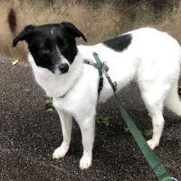 Hanna se trouve en famille d'accueil paris 18 #6