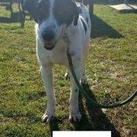 Jacky se trouve dans une famille en albanie #2