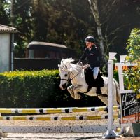 Vigo, le poney aux multiples talents #3