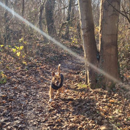 La merveilleuse lucy #2