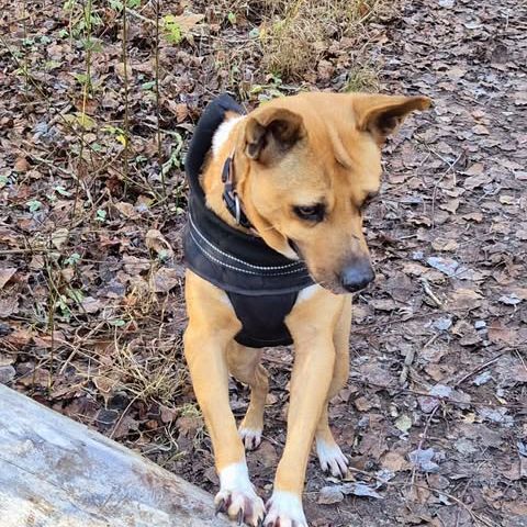 La merveilleuse lucy #3