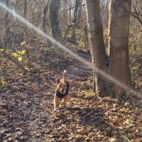 La merveilleuse lucy #2