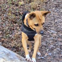 La merveilleuse lucy #3