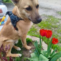 Baks se trouve dans un refuge en ukraine #5