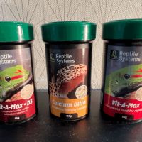 Caméléon casqué du yémen (femelle) + accessoires #6