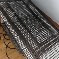 Couple de perruche calopsitte + cage #1