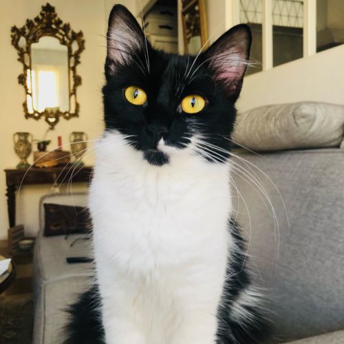 La douce et calme zoé #2