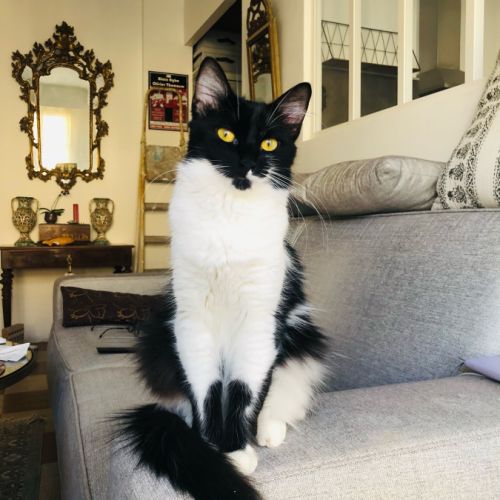 La douce et calme zoé #3