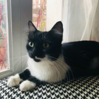 La douce et calme zoé