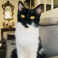 La douce et calme zoé #2