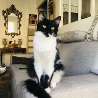 La douce et calme zoé #3