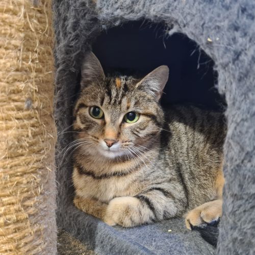 Junior calme et douce- gerda #1