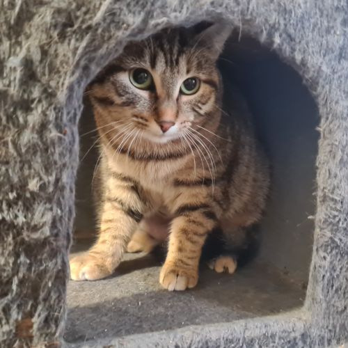 Junior calme et douce- gerda #0