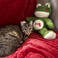 Junior calme et douce- gerda #3