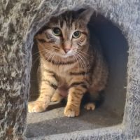 Junior calme et douce- gerda