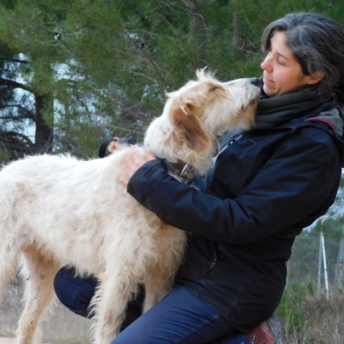 Charco, 6 ans, magnifique croisé griffon #7