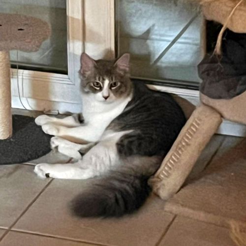 Marlo, câlin et joueur #2