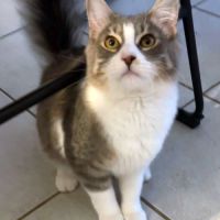 Marlo, câlin et joueur #0