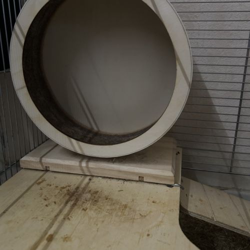 Hamster nain blanc et gris avec cage et accessoire #7