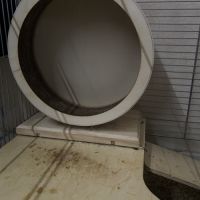 Hamster nain blanc et gris avec cage et accessoire #7