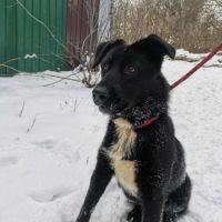 Palma se trouve dans un refuge en ukraine #1