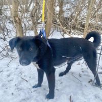 Palma se trouve dans un refuge en ukraine #2