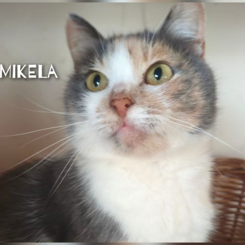 Mikela se trouve dans un refuge en ukraine