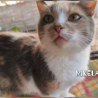 Mikela se trouve dans un refuge en ukraine #3