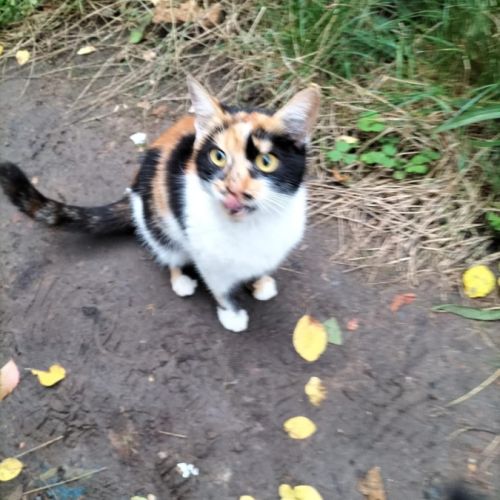 Prada se trouve dans un refuge en ukraine #1